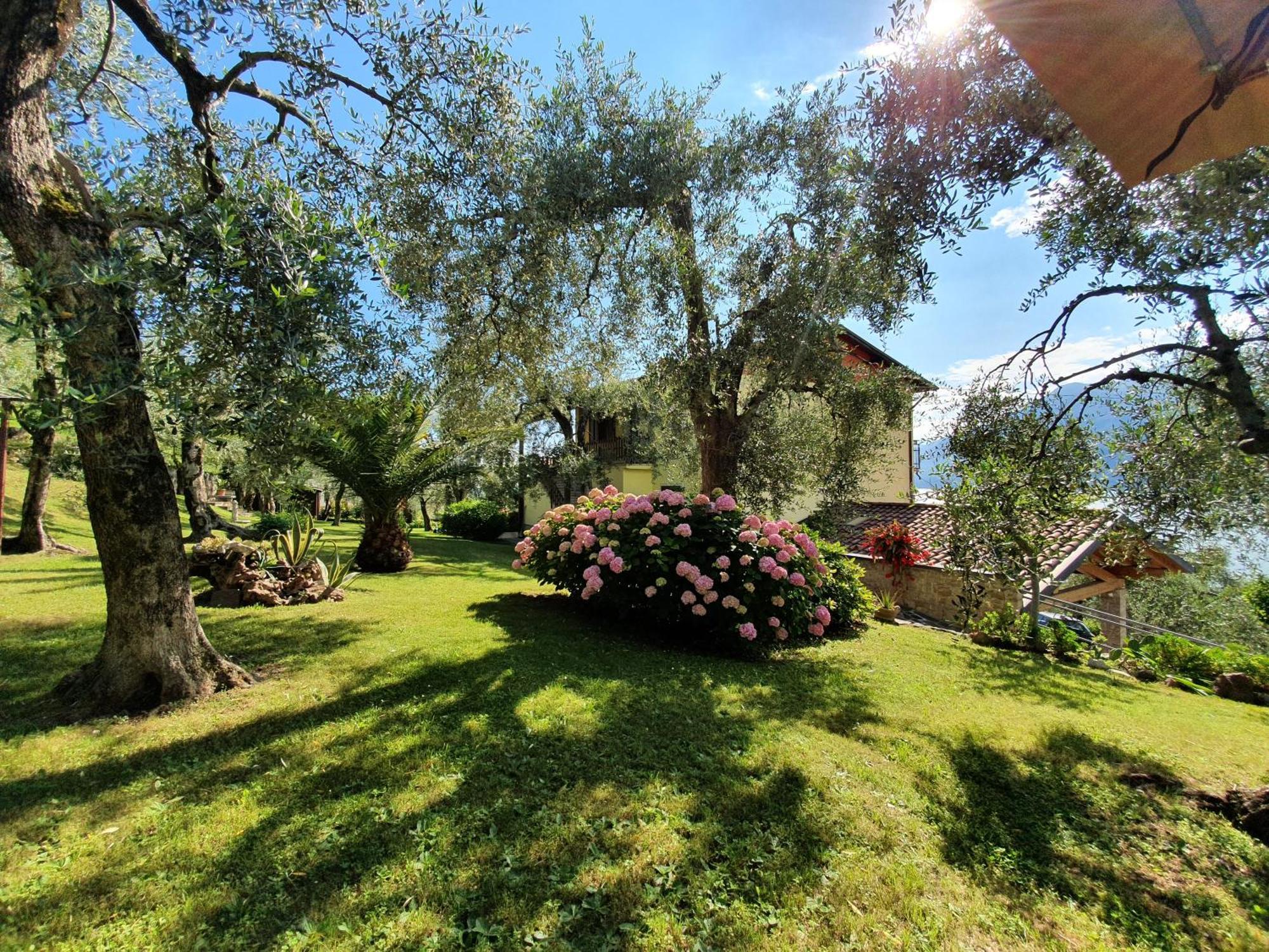 Casa Valenti Apartment Brenzone sul Garda Exterior photo